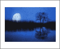 Clair de Lune sur le Rhin, pres de Schonau, Alsace