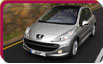 Peugeot 207 car photo