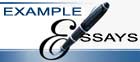 Example Essays logo