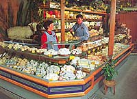 Fromagerie Lefebvre store interior