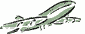 airplane