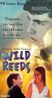 Wild Reeds